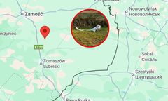 Tajemniczy obiekt pod Zamościem. To może być dron przemytniczy
