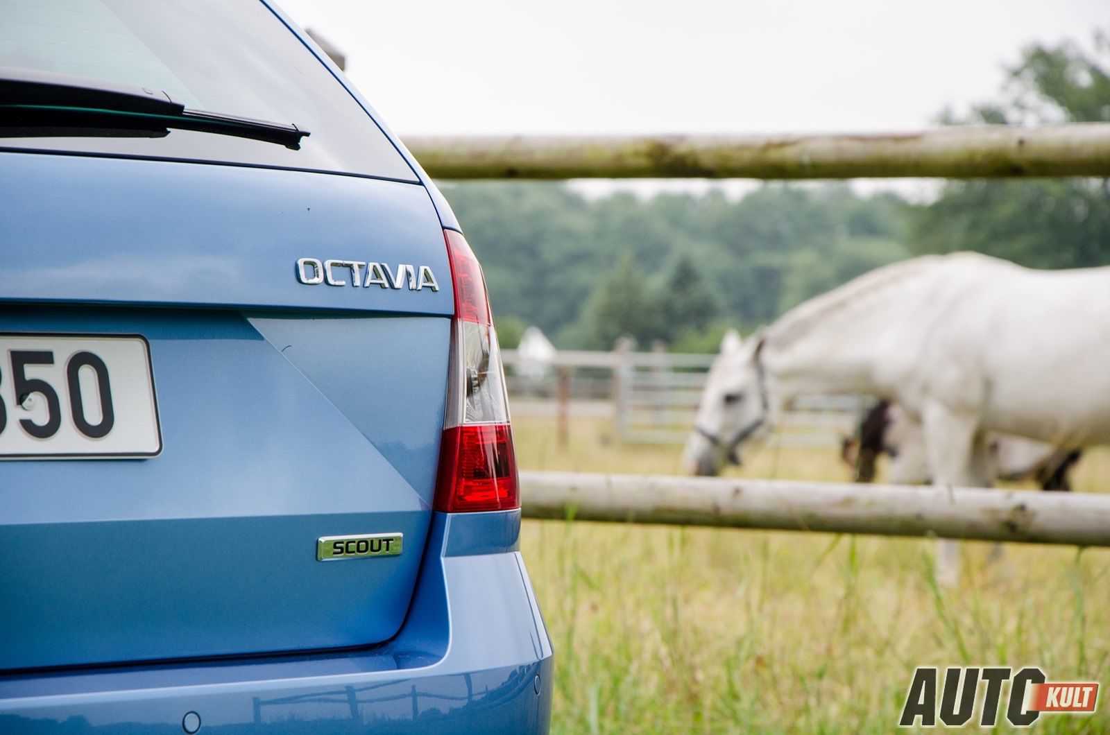 Škoda Octavia Scout 2,0 TDI 184 KM DSG – pierwsza jazda [galeria] 11