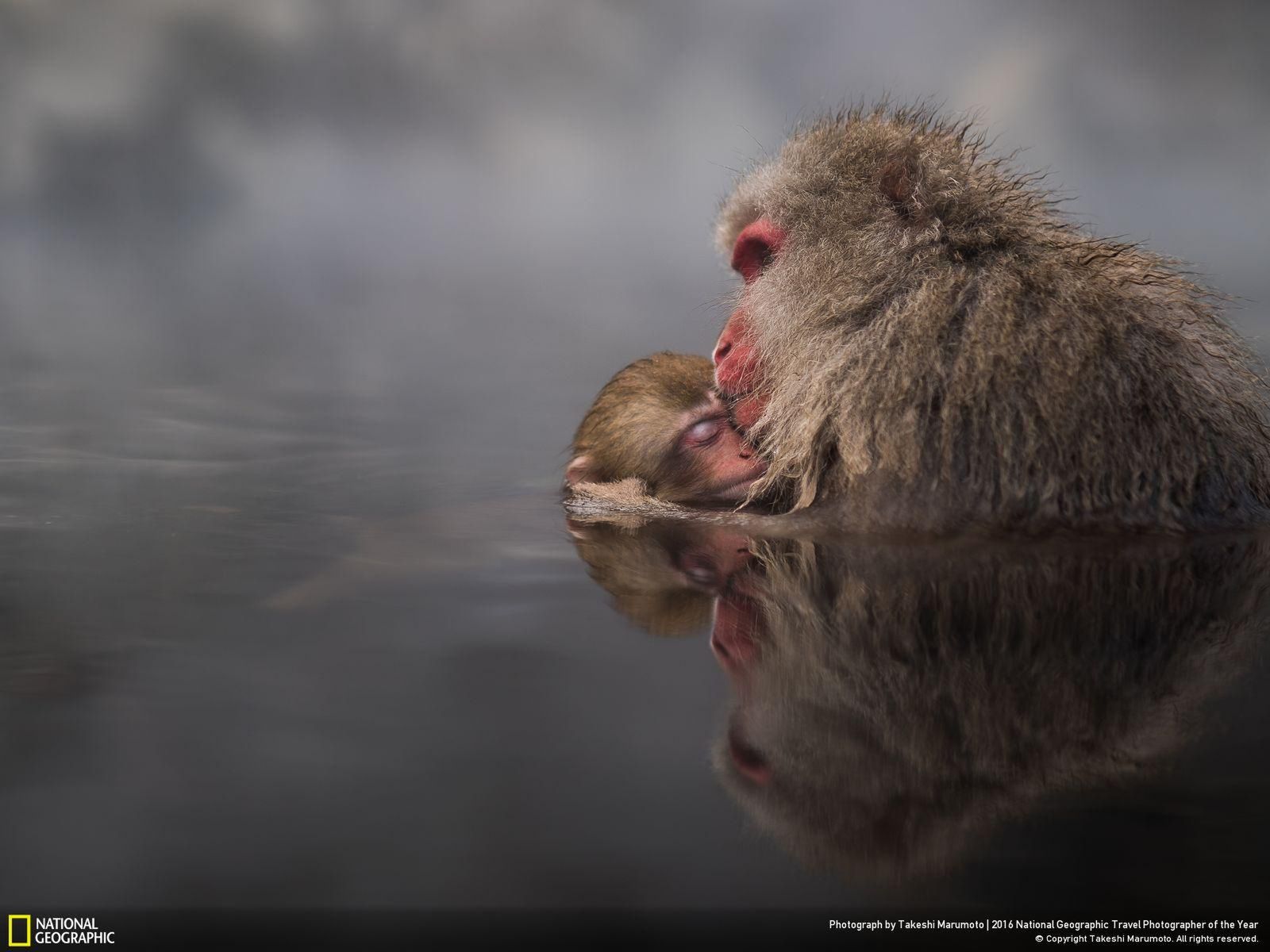 Najciekawsze prace konkursu National Geographic Travel Photographer of the Year 2016 6