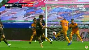 #dziejesiewsporcie: najpierw gol, a potem salto. Zobacz wyjątkową "cieszynkę"