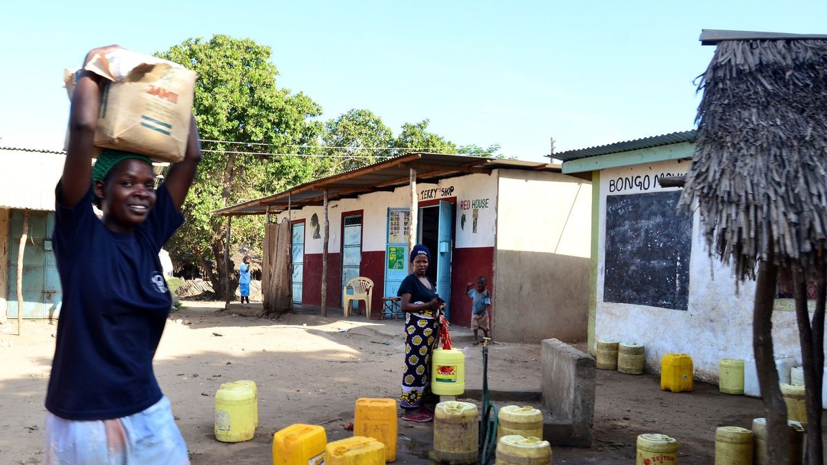 80 proc. światowej produkcji kawy dostarczają małe gospodarstwa, a w przypadku kakao jest to aż 90 proc. Mimo tego kontrolę nad rynkami przejęło zaledwie kilka dużych firm.