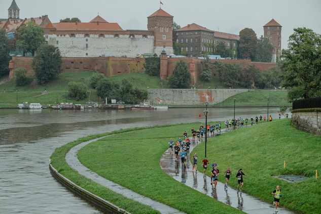 źródło: materiał partnera