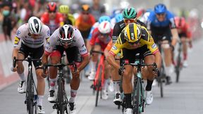 Kolarstwo. UAE Tour 2020: Groenewegen najszybszy, Mareczko znów siódmy