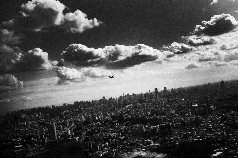 Japoński film noir, czyli miejskie krajobrazy Takehiko Nakafuji 2