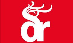 Dragon Rouge: wpływy zmalały o 3 proc., zysk o 1,5 mln zł. "Presja cenowa, bezpłatne przetargi"