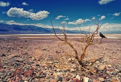 USA. Dolina Śmierci. 54,4 stopni Celsjusza. To może być nowy rekord