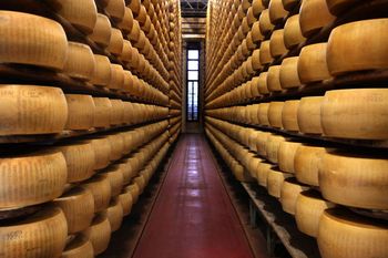 Zuchwała kradzież we Włoszech. Złodzieje wynieśli tony parmezanu