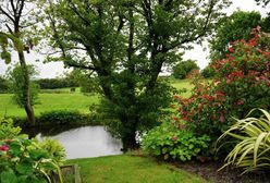 Gliwice. Łap deszczówkę, miasto ci zapłaci nawet 4 tys zł