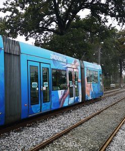 Wrocław. Wykolejenie tramwaju na Legnickiej. Utrudnienia dla pasażerów i kierowców