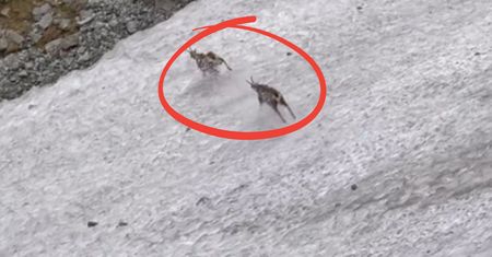 Aż się kurzyło. Niesie się nagranie z Tatr