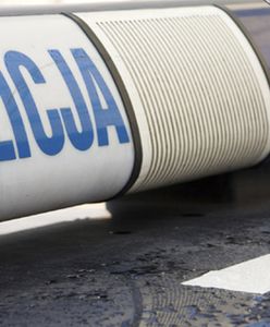 Nie masz pracy? Idź do policji!