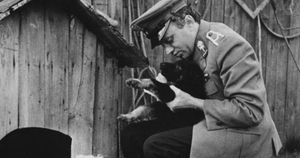 Kultowy polski serial z czasów PRL. Pamiętasz "Przygody psa Cywi