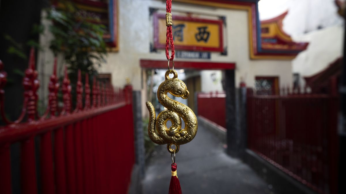 W Chinach rozpoczął się rok węża