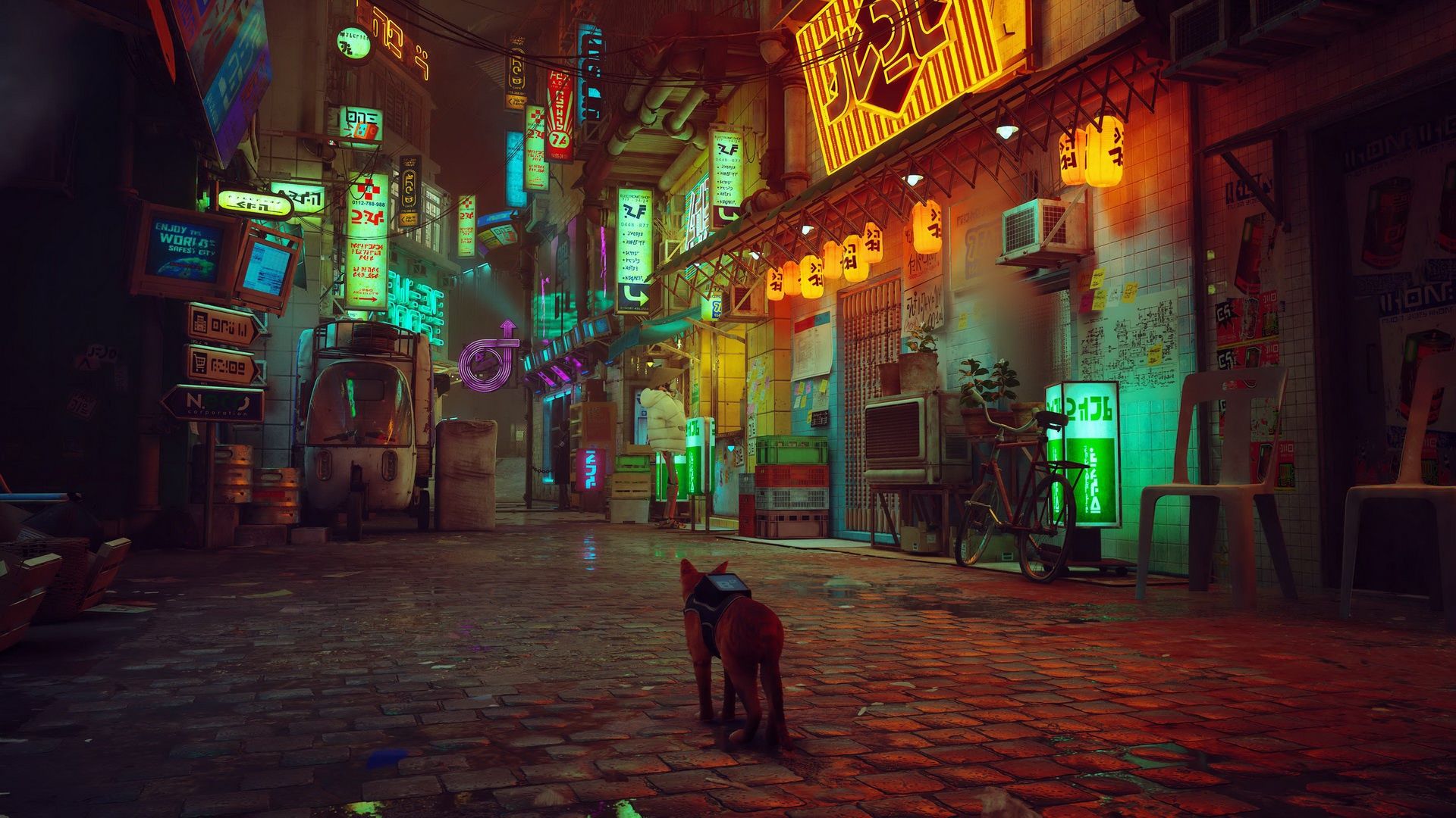 Stray - miasto