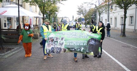 Spacer pełen serca – tak Włocławek uczcił Światowy Dzień Zwierząt [ZDJĘCIA]