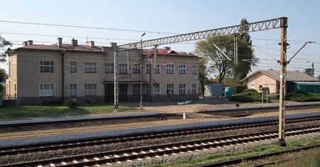 Coraz więcej ofiar śmiertelnych. Polska w czołówce rankingu