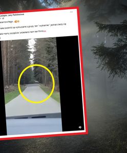 Sensacja w lasach nadleśnictwa Leżajsk. Jest nagranie