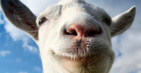 Goat Simulator — koza powiadasz?