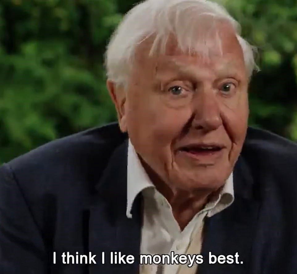 Sir David Attenborough odpowiedział na pytania, które zadały dzieci Kate i Williama
