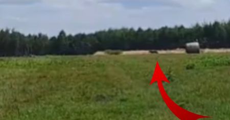 Był biały dzień. Leśnicy zobaczyli go na skraju lasu