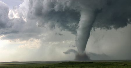 Tornado i gwałtowne burze uderzyły w USA. Jest nagranie