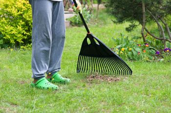 Jak zadbać o trawnik jesienią? Eksperci ostrzegają przed jednym