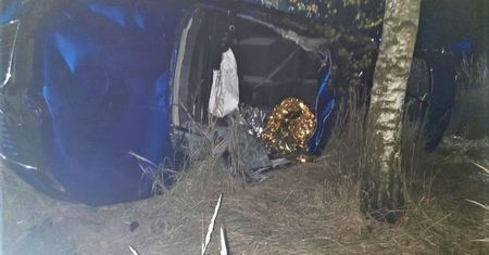 Przed maską leżał martwy łoś. Przerażająca śmierć seniora