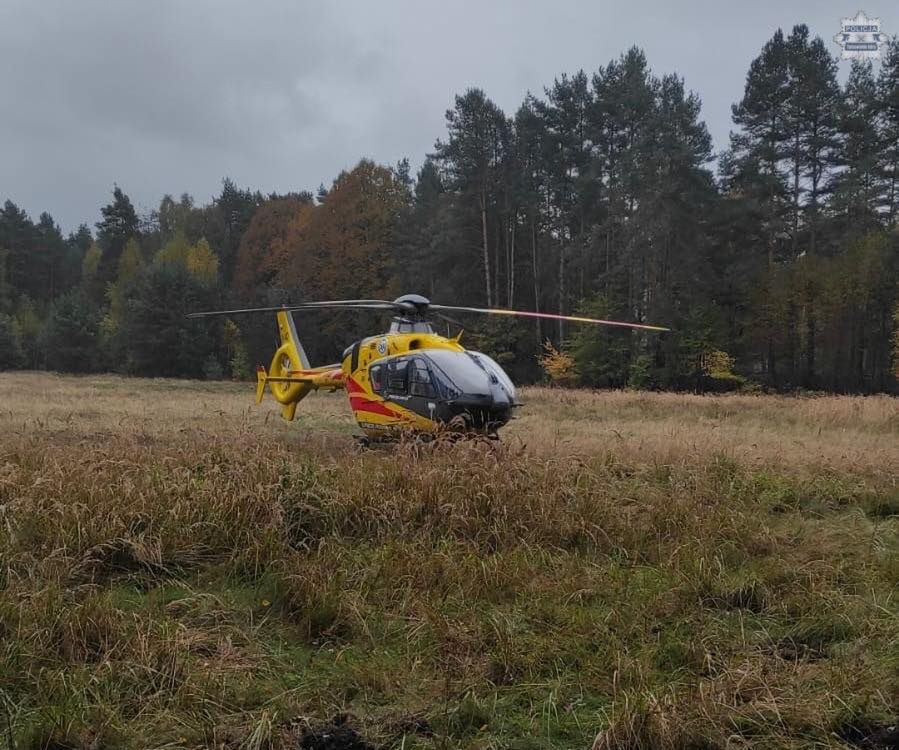 Twaróg: Konar uderzył w 19-latka. Mężczyzna był reanimowany