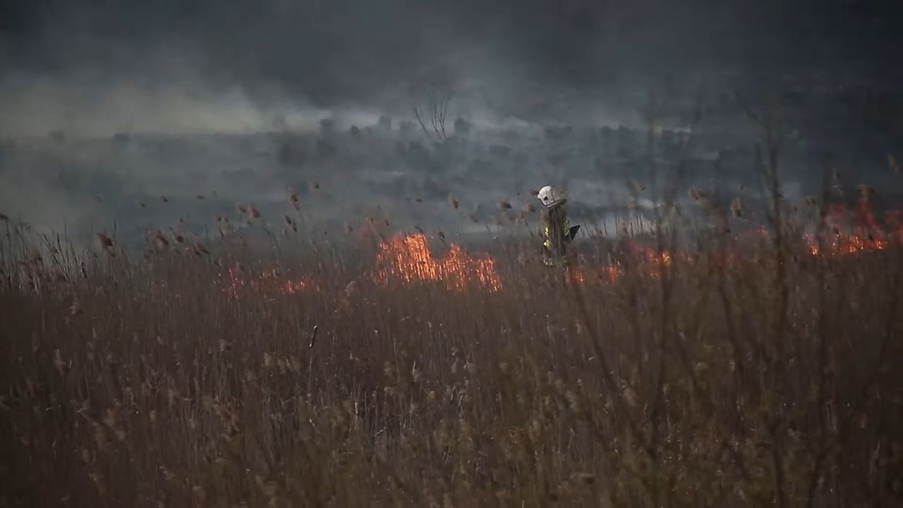 Pożar w Biebrzańskim Parku Narodowym. Ogień wciąż się rozprzestrzenia