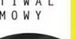 38. Gdynia Festiwal Filmowy: Gorące wywiady z festiwalu w Gdyni!