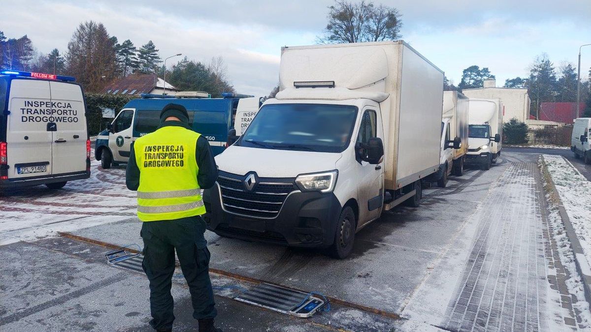 GITD kontroluje samochody ciężarowe, dostawcze i autobusy. Nadzoruje też fotoradary