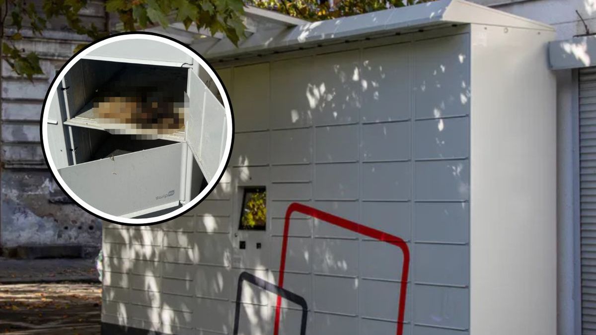 Makabryczne odkrycie w Katowicach