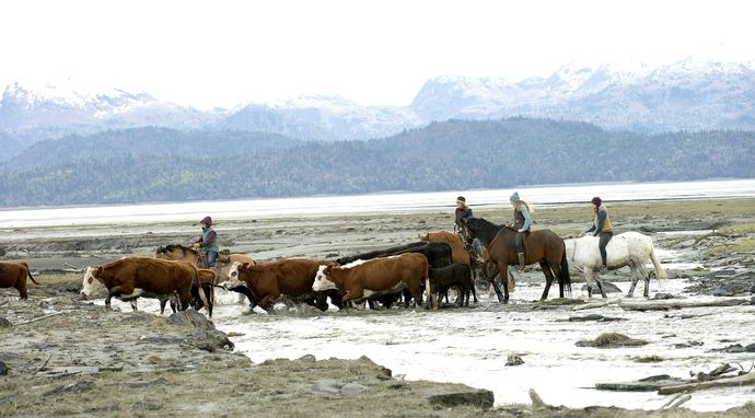 Ekstremalna Alaska