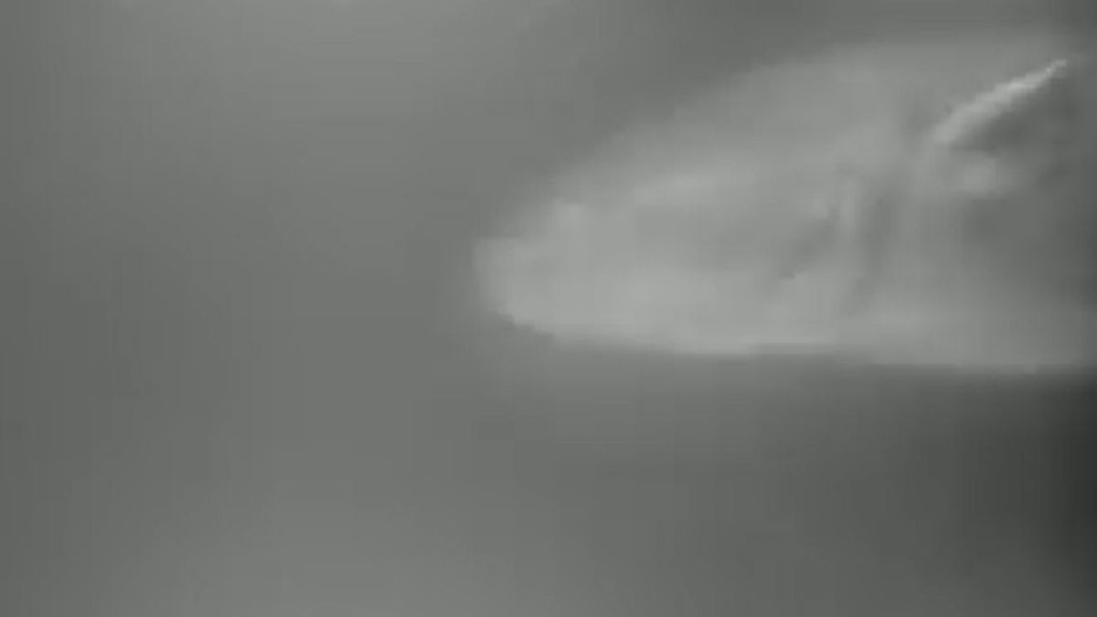 Duży sum w Słupi, którego uchwyciła podwodna kamera