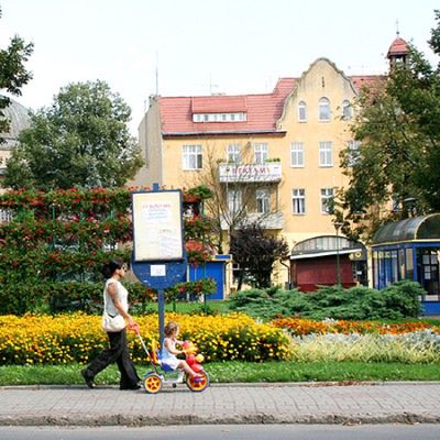 Obraz