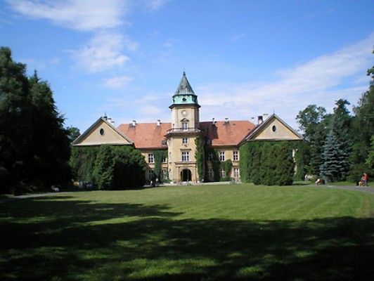 Obraz