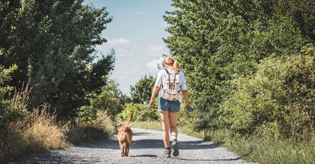 Tatry odpadają. Kampinos też. Dokąd jechać z psem?