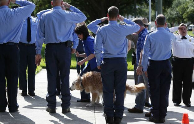 Uśpiono ostatniego psa, który przeszukiwał gruzy WTC w poszukiwaniu ocalałych ludzi