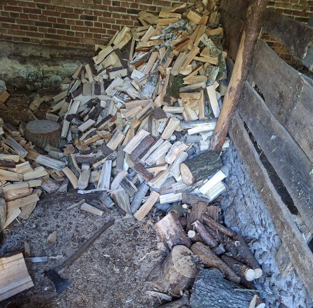 55-latek zatrzymany za kradzież niemal 30 drzew w gminie Piszczac (zdjęcia)