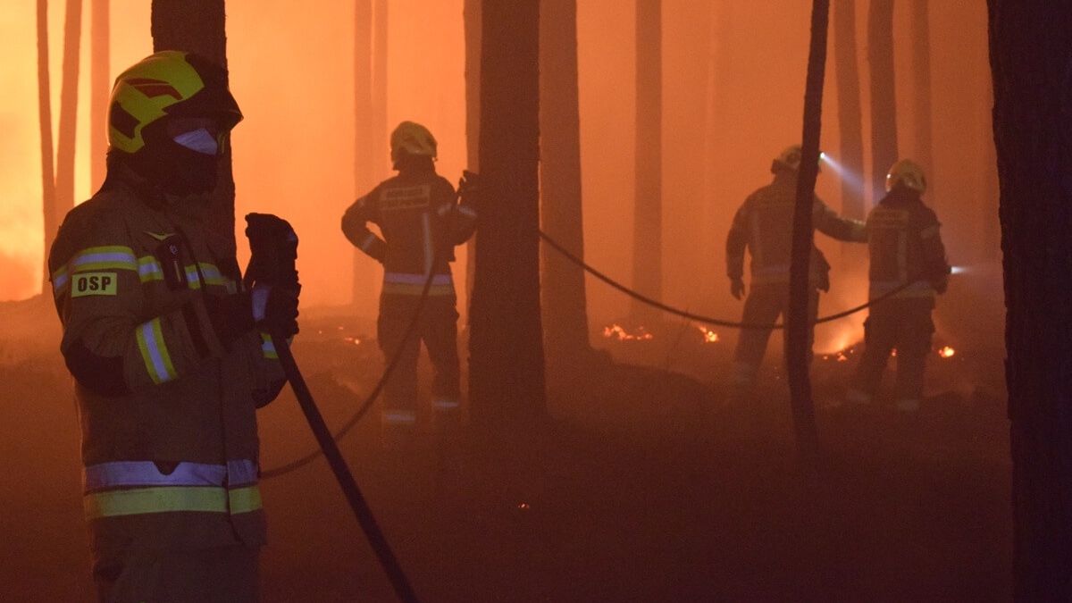 Nocna akcja gaszenia pożaru lasów w powiecie biłgorajskim