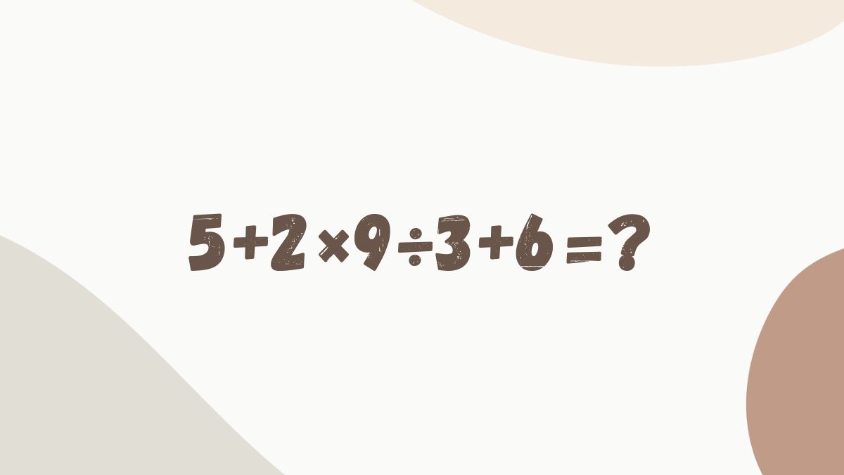 Równanie z książki do podstawówki sprawia dorosłym problemy.