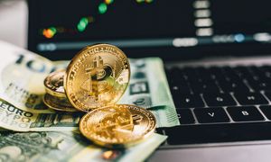 Stracili, bo ryzykowali? Zapytali Polaków o  problemy Zondacrypto