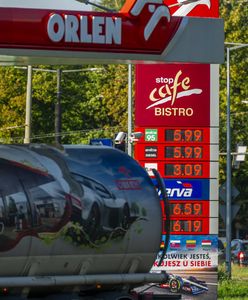 Najnowsza prognoza cen. Na stacjach paliw już widać zmianę