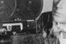 ''Nosferatu'': Nieznani sprawcy ukradli głowę słynnego reżysera F.W. Murnau'a