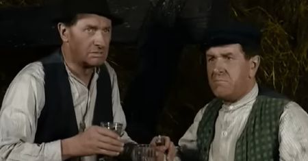 "Sami swoi". Tylko prawdziwy fan zdobędzie 14/14 punktów