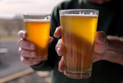 Piwo w proszku. W Brandenburgii naprawdę to się udało