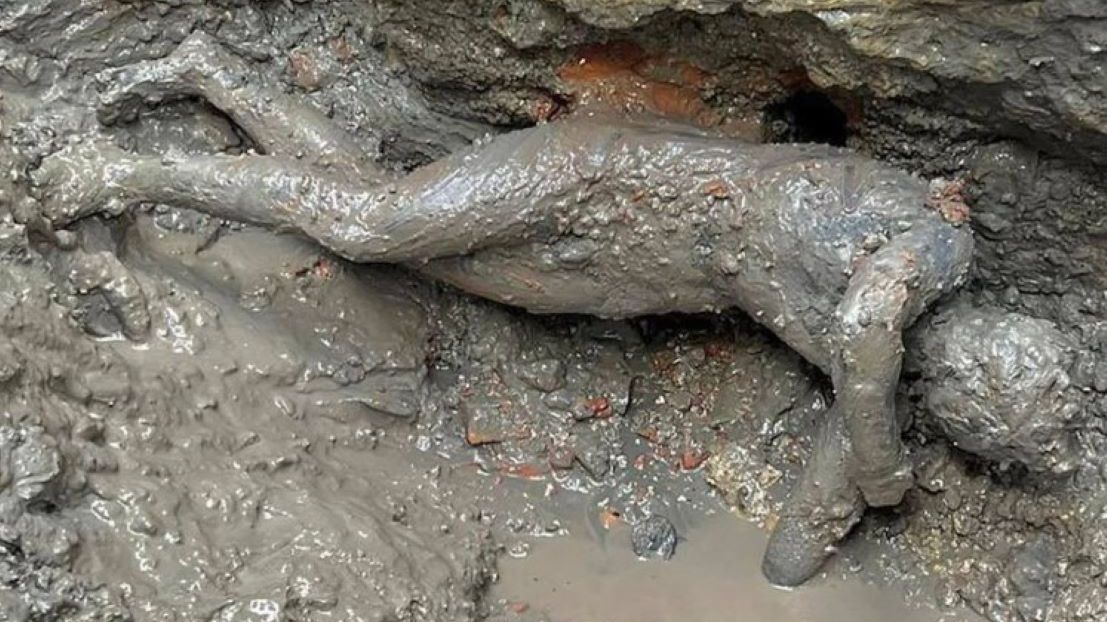 Archeolodzy dokonali niezwykłego odkrycia we Włoszech 