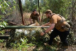 Ukraińscy żołnierze w Polsce. Parlament rozpatruje ustawę ws. szkoleń