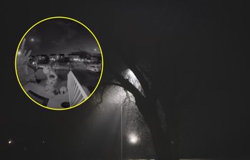 Tego się nie spodziewała. Polka pokazała wideo z Halloween w Kanadzie