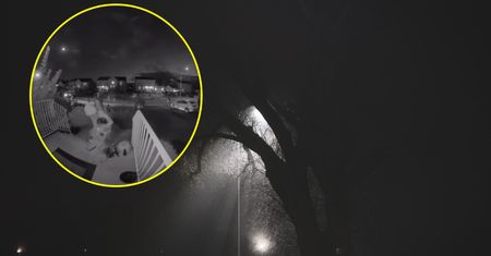 Tego się nie spodziewała. Polka pokazała wideo z Halloween w Kanadzie